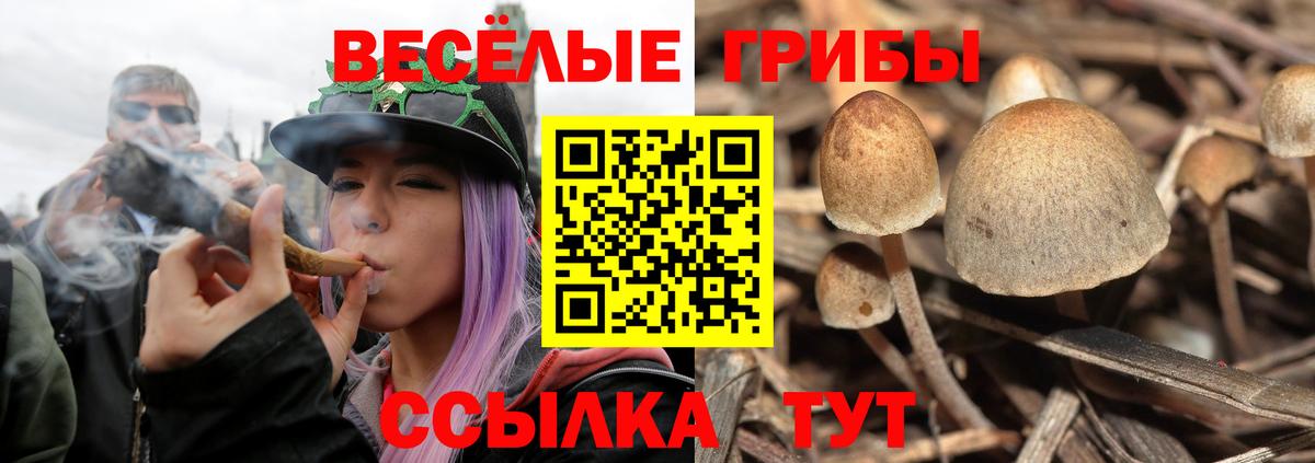 где можно купить наркотик  Галлюциногенные грибы мицелий  Вход с VPN  Галлюциногенные грибы GOLDEN TEACHER  Семёнов 